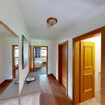 Daxauer Apartmán