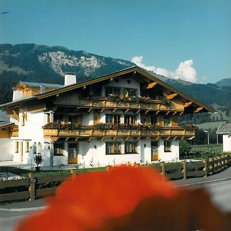 Daxauer Sankt Johann in Tirol